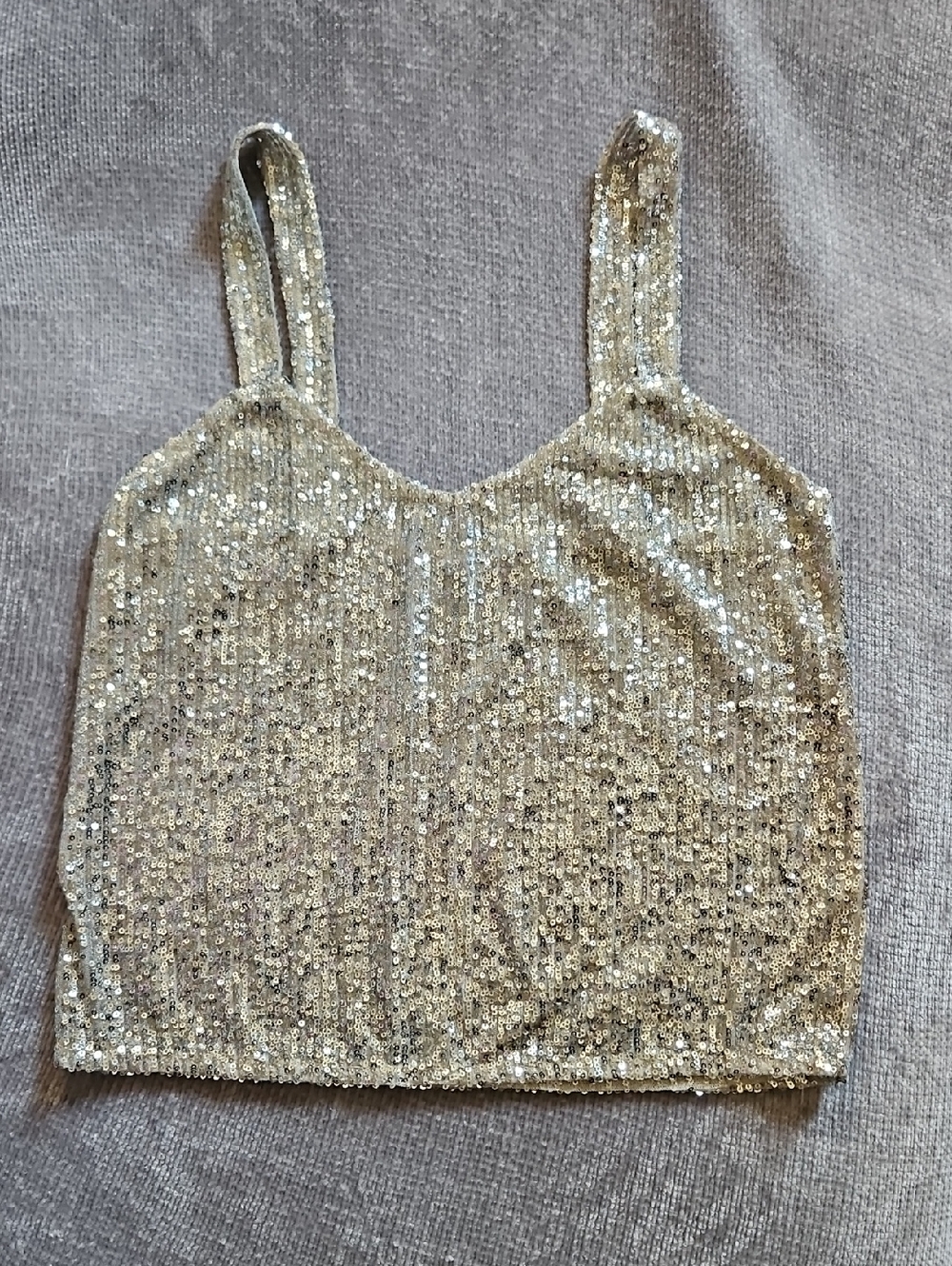 Zara Silver Sequin Tank Top